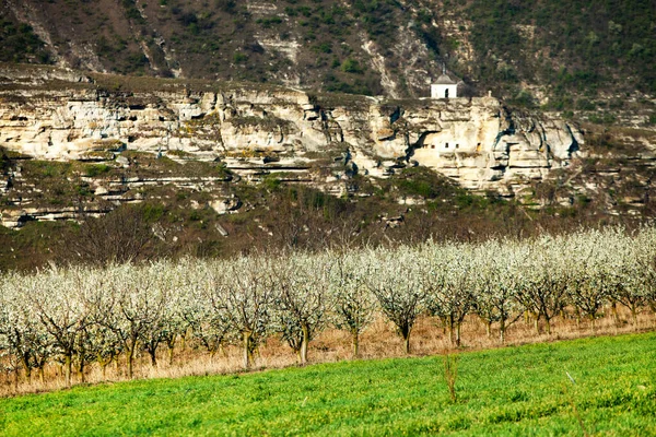 stock image Beautiful spring landscape in Republic of Moldova. Green landscape. Spring Nature. Park with Green Grass and Trees. Travel in Europe. Field with blooming tree and rocks.