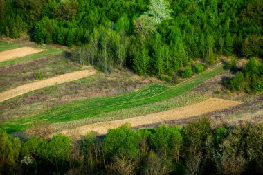 Moldova Cumhuriyeti 'nin güzel bahar manzarası. Yeşil manzara. Bahar doğası. Yeşil Çimenli ve Ağaçlı Park. Avrupa 'ya seyahat. Çiçek açan ağaçlar ve kayalar.