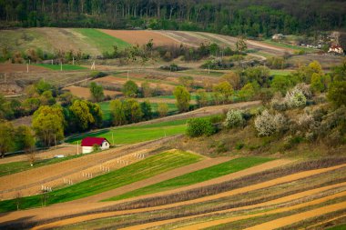 Moldova Cumhuriyeti 'nin güzel bahar manzarası. Yeşil manzara. Bahar doğası. Yeşil Çimenli ve Ağaçlı Park. Avrupa 'ya seyahat. Çiçek açan ağaçlar ve kayalar.