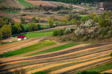 Moldova Cumhuriyeti 'nin güzel bahar manzarası. Yeşil manzara. Bahar doğası. Yeşil Çimenli ve Ağaçlı Park. Avrupa 'ya seyahat. Çiçek açan ağaçlar ve kayalar.
