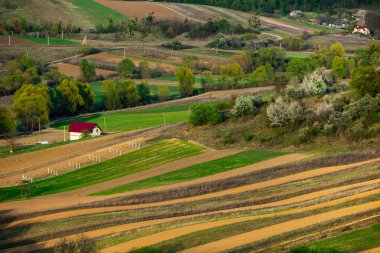 Moldova Cumhuriyeti 'nin güzel bahar manzarası. Yeşil manzara. Bahar doğası. Yeşil Çimenli ve Ağaçlı Park. Avrupa 'ya seyahat. Çiçek açan ağaçlar ve kayalar.
