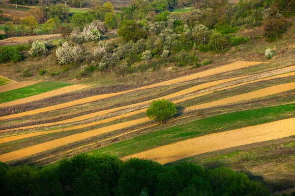 Krásná Jarní Krajina Moldavské Republice Zelená Krajina Jarní Příroda Park — Stock fotografie