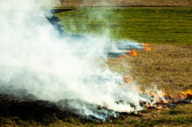 Bahçede eski kuru otları yakmak. Tarlada yanan kuru otlar. Orman yangını. Sakal tarlası çiftçiler tarafından yakılıyor. Sahada yangın.