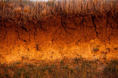 Toprakta çapraz kesit. Kahverengi tarım toprağının dokusu. Toprak dokusu kuraklık yüzünden kurumuş. Toprak dokusu arkaplanı.