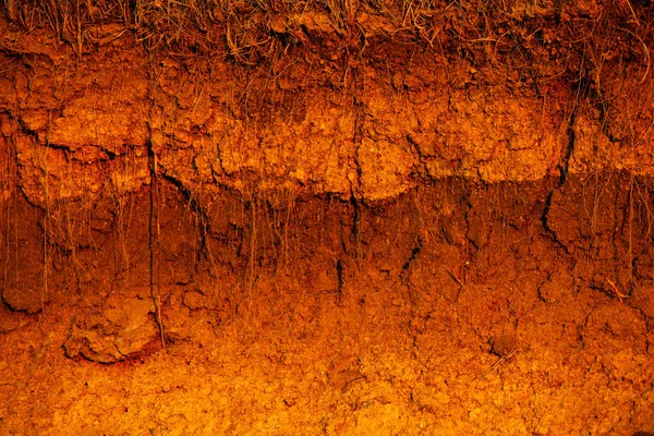 Doorsnede Grond Textuur Van Bruine Landbouwgrond Textuur Van Land Opgedroogd — Stockfoto