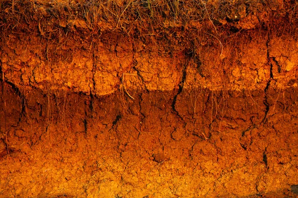 Cross Section Soil Texture Brown Agricultural Soil Texture Land Dried — Stock Photo, Image