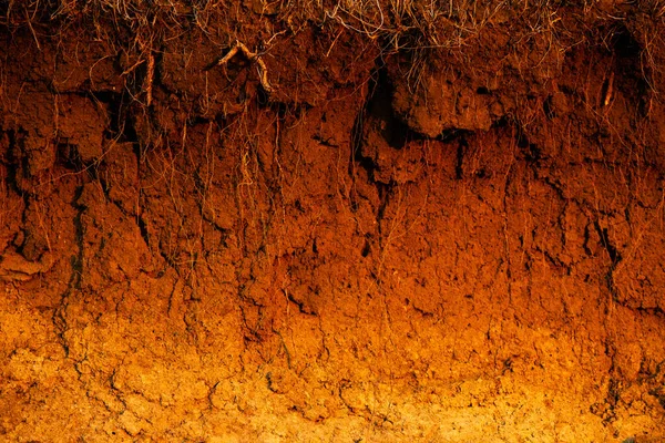 Cross-section in the soil. Texture of brown agricultural soil. Texture of land dried up by drought. Soil texture background.