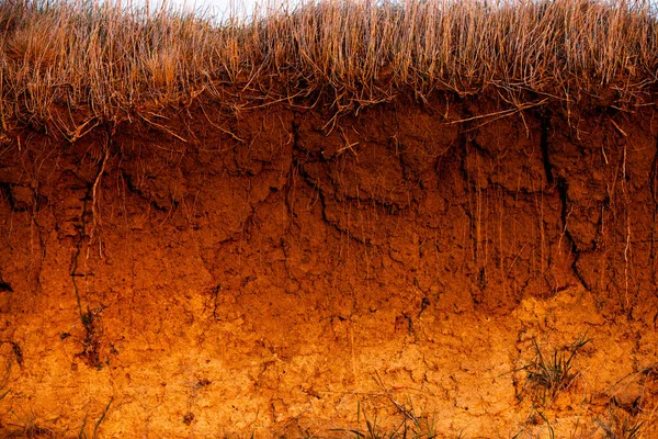 Cross-section in the soil. Texture of brown agricultural soil. Texture of land dried up by drought. Soil texture background.