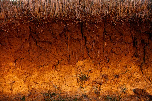 Cross-section in the soil. Texture of brown agricultural soil. Texture of land dried up by drought. Soil texture background.