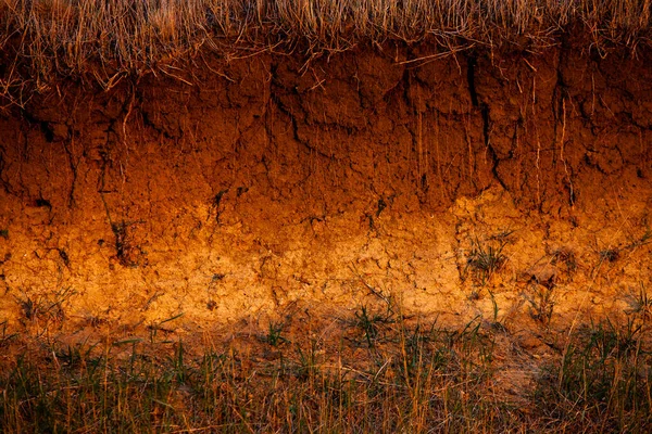 土の中の断面 茶色の農地の質感 干ばつで干上がった土地の質感 土壌の質感の背景 — ストック写真