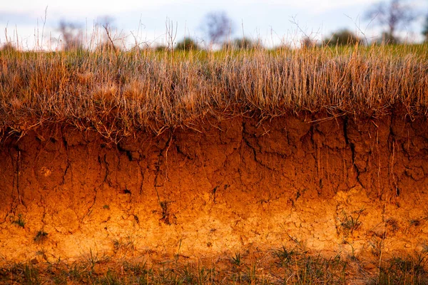 Doorsnede Grond Textuur Van Bruine Landbouwgrond Textuur Van Land Opgedroogd — Stockfoto