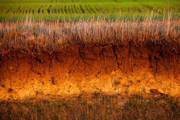 Toprakta Çapraz Kesit Kahverengi Tarım Toprağının Dokusu Toprak Dokusu Kuraklık — Stok fotoğraf