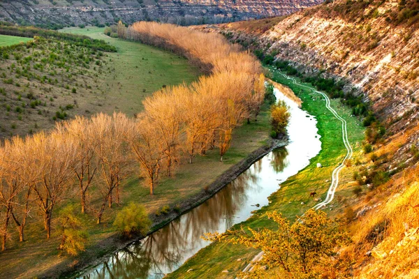 Beautiful Spring Landscape Republic Moldova Green Landscape Spring Nature Park — Stock Photo, Image