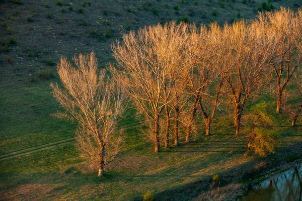 Piękny Wiosenny Krajobraz Republice Mołdowy Zielony Krajobraz Wiosenna Natura Park — Zdjęcie stockowe