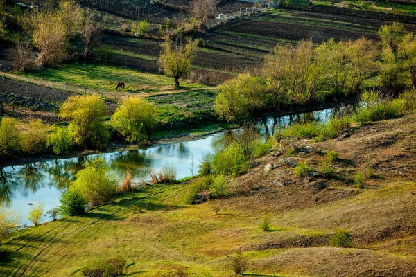 Bellissimo Paesaggio Primaverile Nella Repubblica Moldova Paesaggio Verde Natura Primaverile — Foto Stock