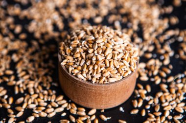 Tam tahıllı un izole edilmiş. Arkaplan dokusu olarak buğday taneleri, üst görünüm.