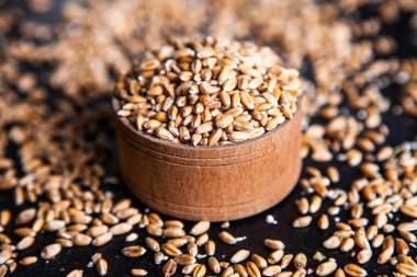 Tam tahıllı un izole edilmiş. Arkaplan dokusu olarak buğday taneleri, üst görünüm.