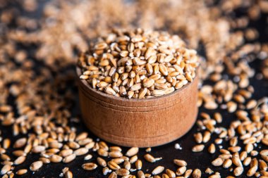 Tam tahıllı un izole edilmiş. Arkaplan dokusu olarak buğday taneleri, üst görünüm.