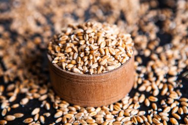 Tam tahıllı un izole edilmiş. Arkaplan dokusu olarak buğday taneleri, üst görünüm.