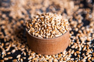 Tam tahıllı un izole edilmiş. Arkaplan dokusu olarak buğday taneleri, üst görünüm.