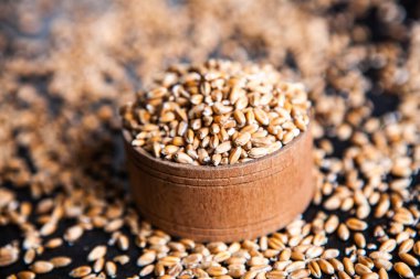 Tam tahıllı un izole edilmiş. Arkaplan dokusu olarak buğday taneleri, üst görünüm.