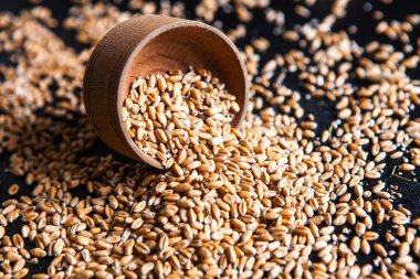 Tam tahıllı un izole edilmiş. Arkaplan dokusu olarak buğday taneleri, üst görünüm.