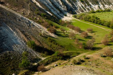 Moldova 'da doğal yaz manzarası. Yeşil alan, ağaç ve mavi gökyüzü. Arka plan olarak harika, web afişi. Sisli yaz dağları manzarası.