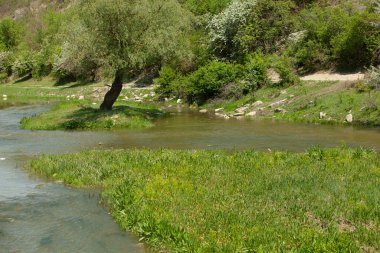 Moldova 'da doğal yaz manzarası. Yeşil alan, ağaç ve mavi gökyüzü. Arka plan olarak harika, web afişi. Sisli yaz dağları manzarası.