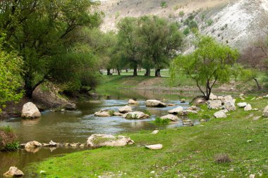 Moldova 'da doğal yaz manzarası. Yeşil alan, ağaç ve mavi gökyüzü. Arka plan olarak harika, web afişi. Sisli yaz dağları manzarası.