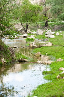Moldova 'da doğal yaz manzarası. Yeşil alan, ağaç ve mavi gökyüzü. Arka plan olarak harika, web afişi. Sisli yaz dağları manzarası.