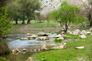Moldova 'da doğal yaz manzarası. Yeşil alan, ağaç ve mavi gökyüzü. Arka plan olarak harika, web afişi. Sisli yaz dağları manzarası.