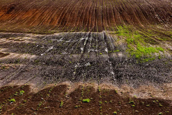 Texture Brown Agricultural Soil Beautiful Sunrise Farm Farm Moldova Europe — Stock Photo, Image