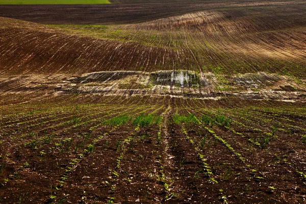 Kahverengi Tarım Toprağının Dokusu Çiftlikte Güzel Bir Gün Doğumu Moldova — Stok fotoğraf