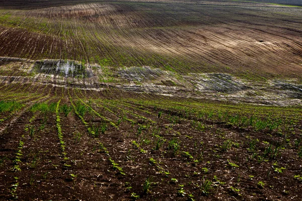茶色の農地の質感 農場で美しい日の出 ヨーロッパのモルドバの農場 野菜の種を植えるための新鮮に耕された春のフィールド — ストック写真