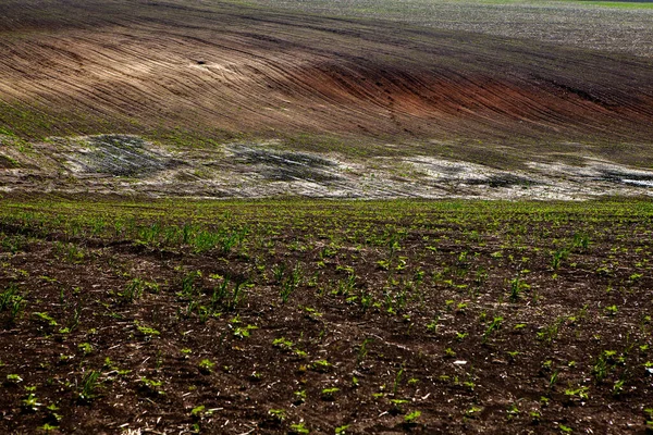 Textura Suelo Agrícola Marrón Hermoso Amanecer Granja Granja Moldavia Europa — Foto de Stock