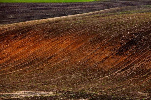 Struktura Hnědé Zemědělské Půdy Krásný Východ Slunce Farmě Farma Moldavsku — Stock fotografie