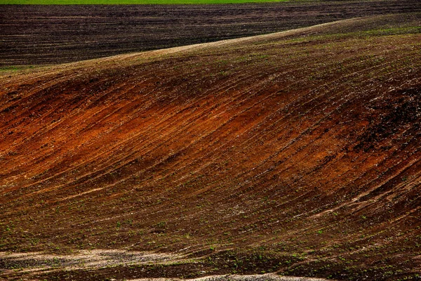 Barna Mezőgazdasági Talaj Textúrája Gyönyörű Napfelkelte Farmon Moldovai Farm Európa — Stock Fotó