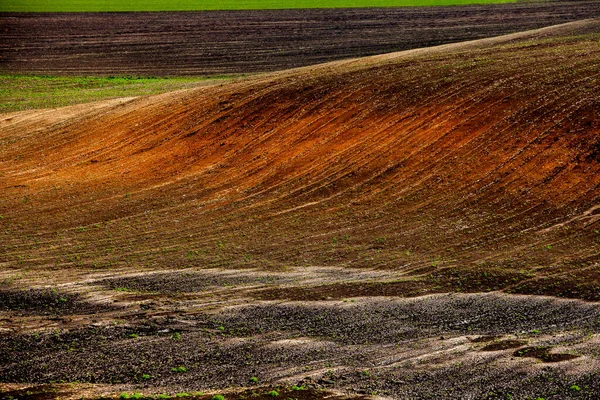 Υφή Καστανού Γεωργικού Εδάφους Όμορφη Ανατολή Στη Φάρμα Αγρόκτημα Στη — Φωτογραφία Αρχείου