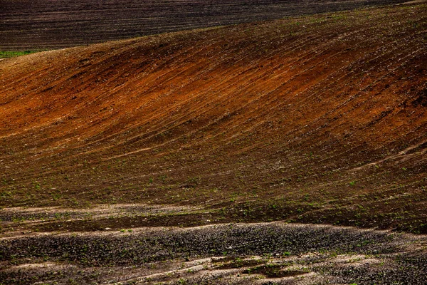 Textur Brauner Landwirtschaftlicher Böden Schöner Sonnenaufgang Auf Dem Bauernhof Der — Stockfoto