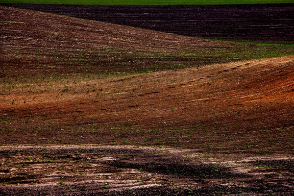 Текстура Коричневой Сельскохозяйственной Почвы Прекрасный Рассвет Ферме Ферма Молдове Европе — стоковое фото
