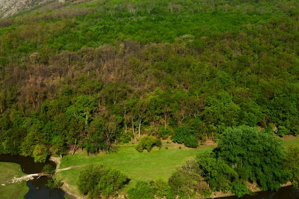 Paisagem Natural Verão Moldávia Campo Verde Árvore Céu Azul Ótimo — Fotografia de Stock