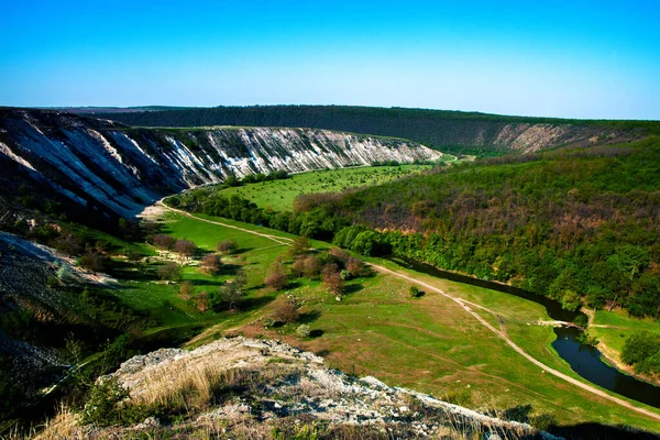 Moldova Doğal Yaz Manzarası Yeşil Alan Ağaç Mavi Gökyüzü Arka — Stok fotoğraf