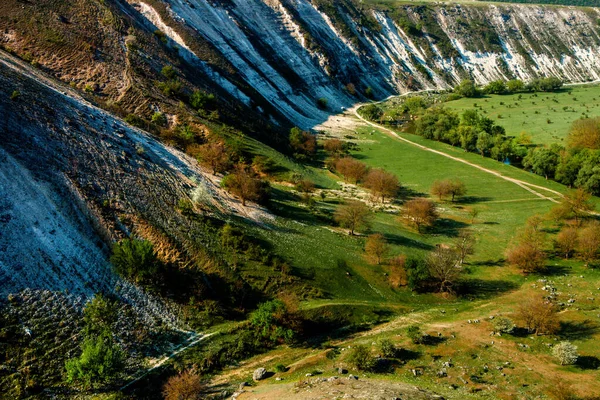 Moldova Doğal Yaz Manzarası Yeşil Alan Ağaç Mavi Gökyüzü Arka — Stok fotoğraf