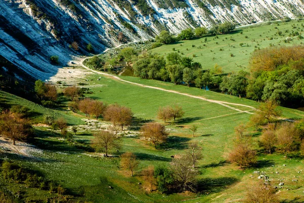 Moldova Doğal Yaz Manzarası Yeşil Alan Ağaç Mavi Gökyüzü Arka — Stok fotoğraf