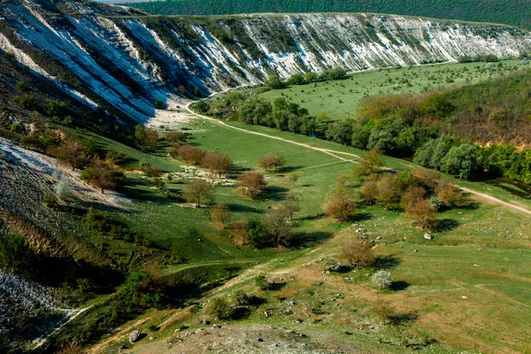 Přírodní Letní Krajina Moldavsku Zelené Pole Strom Modrá Obloha Skvělý — Stock fotografie