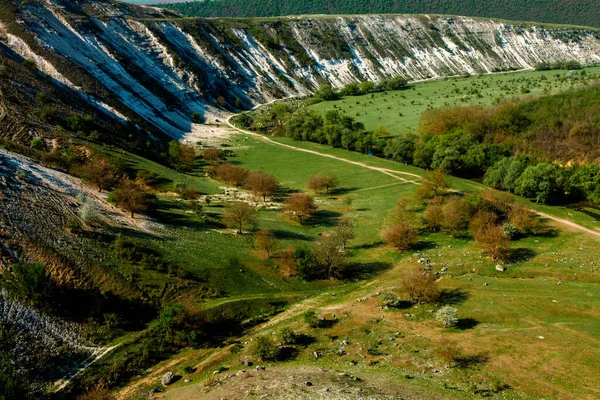 Naturalny Letni Krajobraz Mołdawii Zielone Pole Drzewo Błękitne Niebo Świetny — Zdjęcie stockowe