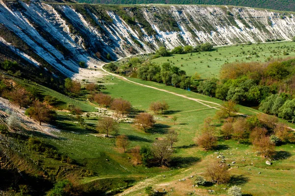 Přírodní Letní Krajina Moldavsku Zelené Pole Strom Modrá Obloha Skvělý — Stock fotografie
