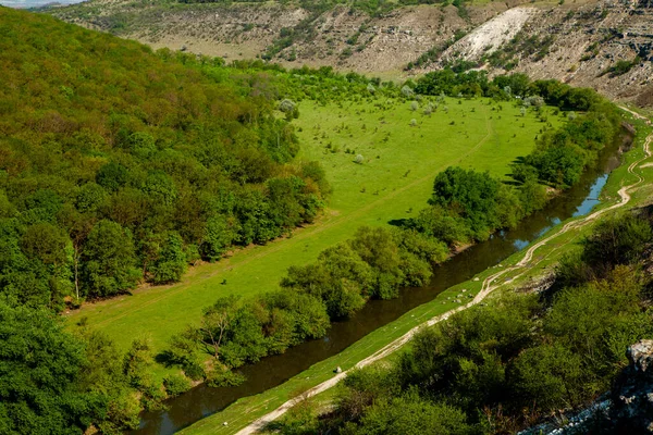 Природный Летний Пейзаж Молдовы Зеленое Поле Дерево Голубое Небо Great — стоковое фото