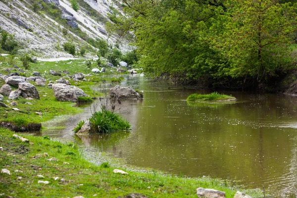 Paysage Naturel Estival Moldavie Champ Vert Arbre Ciel Bleu Grand — Photo