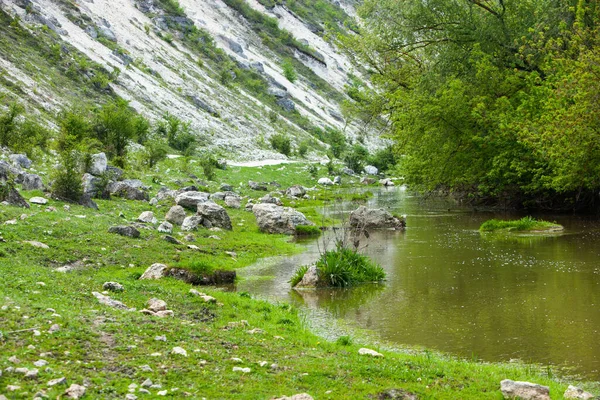 Naturligt Sommarlandskap Moldavien Grönt Fält Träd Och Blå Himmel Bra — Stockfoto